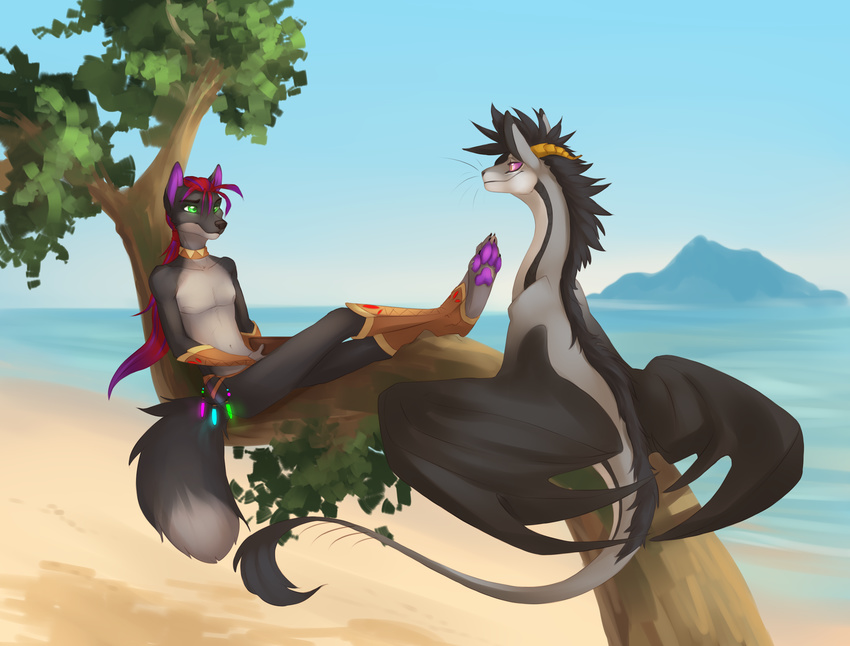4_toes akineza beach black_hair black_nose canine clothed clothing day detailed_background dragon duo fluffy fluffy_tail fur green_eyes grey_fur hair hi_res horn male mammal membranous_wings outside pawpads paws purple_eyes purple_hair purple_pawpads red_hair ridged_horn seaside sitting sky smile toes topless tree_branch whiskers wings