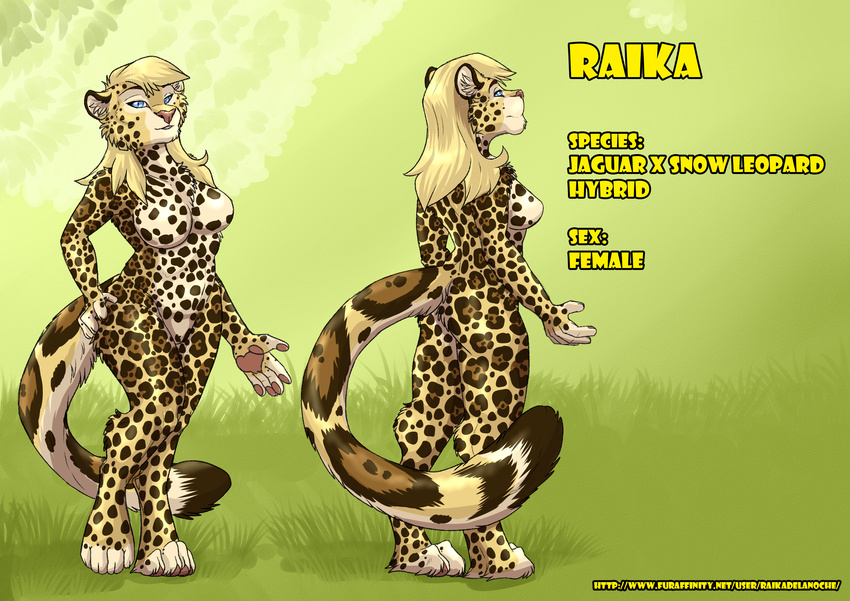 blackdiaraikia blonde_hair blue_eyes breasts feline female hair jaguar leopard mammal model_sheet multiple_poses nude pose snow_leopard solo url