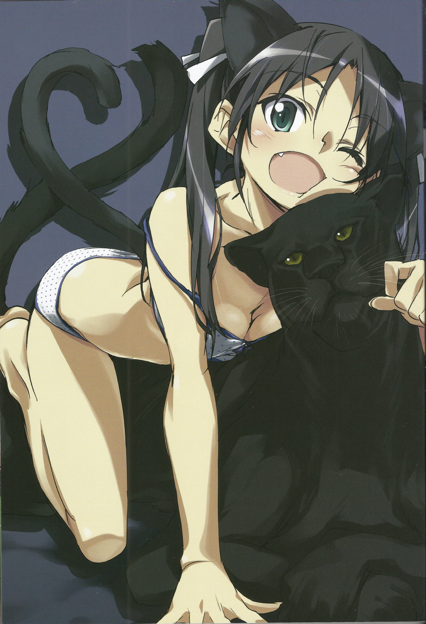 absurdres animal animal_ears black_hair blue_background bra breasts cat_ears cat_tail cleavage francesca_lucchini green_eyes highres kurashima_tomoyasu long_hair medium_breasts one_eye_closed open_mouth panther panther_ears panties scan simple_background strike_witches tail twintails underwear world_witches_series