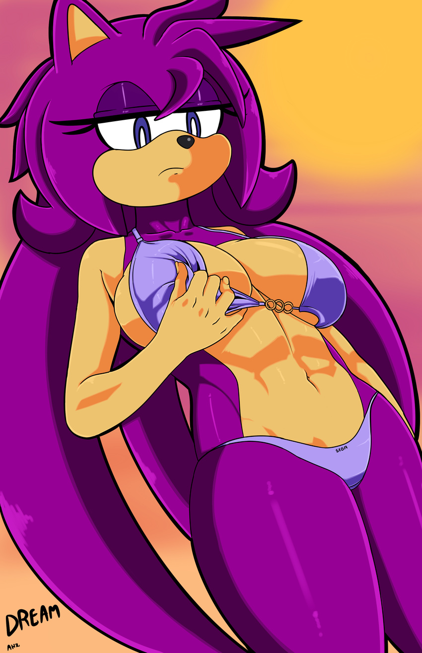 anthro big_breasts breasts clothing dreamcastzx1 female hedgehog mammal solo sonic_oc swimsuit