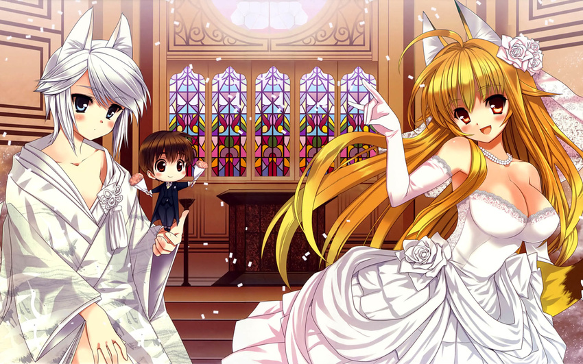 ezomori_nozomu kanokon minamoto_chizuru oyamada_kouta tagme