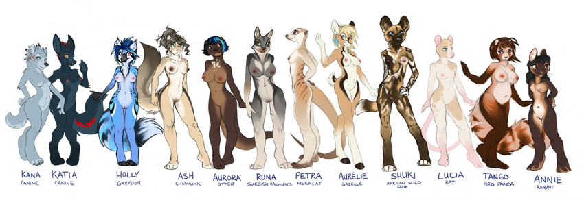 antelope anthro areola avian breasts canine chipmunk demicoeur female gazelle group gryphon lagomorph looking_at_viewer mammal meerkat mongoose mustelid navel nipples nude otter pussy rabbit red_panda rodent simple_background smile standing white_background wide_hips