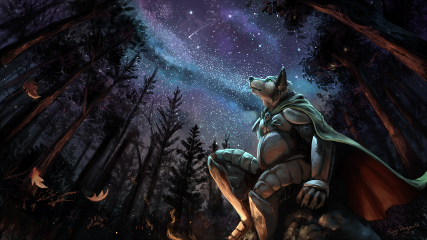 2016 anthro armor black_nose breastplate canine cape clothed clothing detailed_background digital_media_(artwork) digital_painting_(artwork) forest fur gauntlets gloves greaves green_eyes grey_fur hi_res looking_up low-angle_view male mammal multicolored_fur night outside rhyu rock signature sitting sky solo star starry_sky tree two_tone_fur whiskers white_fur wolf