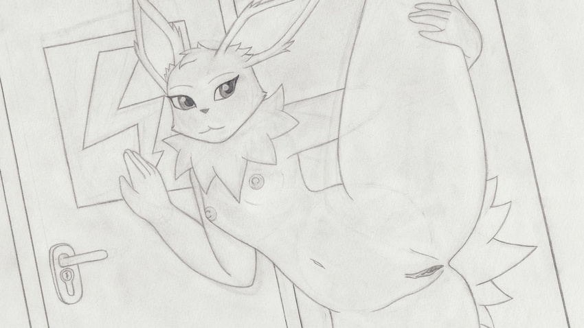 anthro anthrofied door eeveelution female infamousrel jolteon leaning looking_at_viewer nintendo nipples pok&eacute;mon pose pussy sign solo video_games