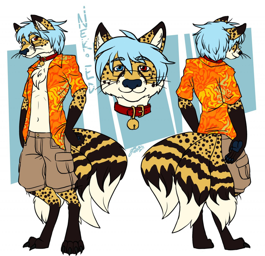 bell blue_hair canine cheetah clothed clothing collar digitigrade eevachu eyewear feline fox glasses hair heterochromia hybrid male mammal model_sheet multi_tail neko_ed