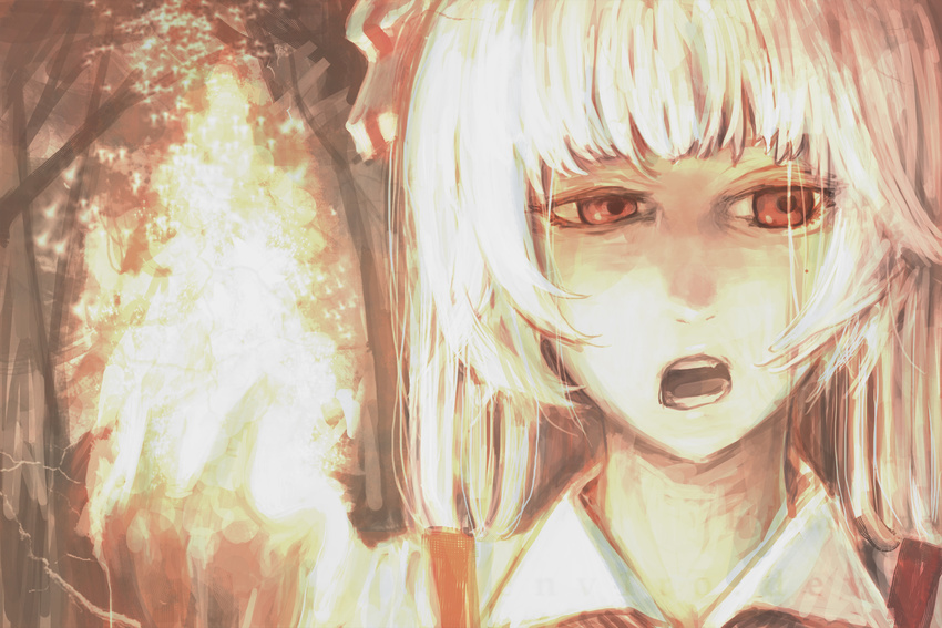 annoyed close-up code-aa fujiwara_no_mokou open_mouth solo touhou