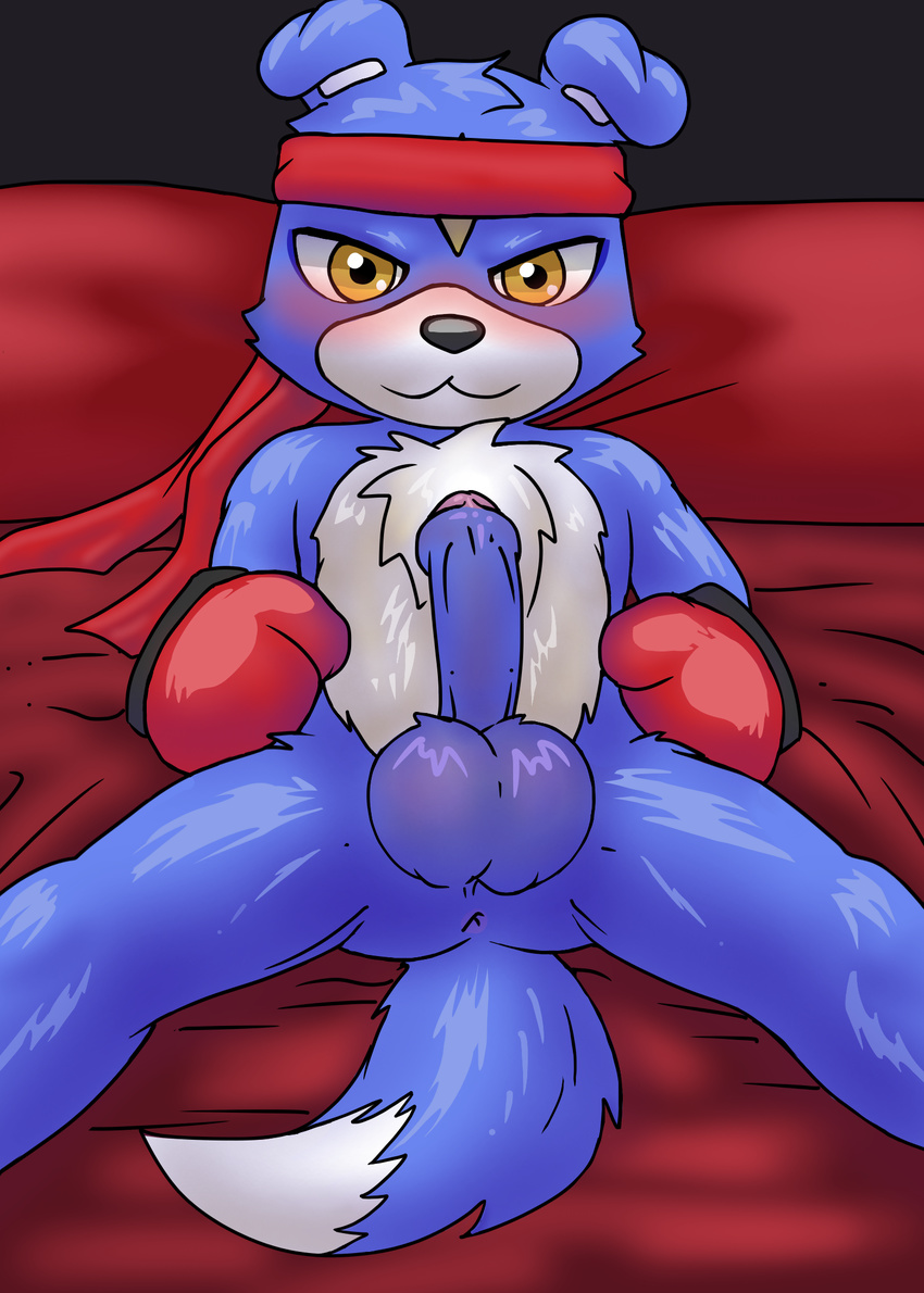 anthro anus balls bed bedroom_eyes blush boxing_gloves canine digimon erection gaomon half-closed_eyes headband humanoid_penis looking_at_viewer lying male mammal megalucario_(artist) mostly_nude on_back on_bed penis seductive solo