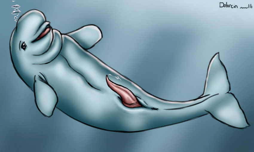 anus beluga cetacean cum dolorcin fin grey_eyes leaking male mammal marine penis slightly_chubby solo tapering_penis whale