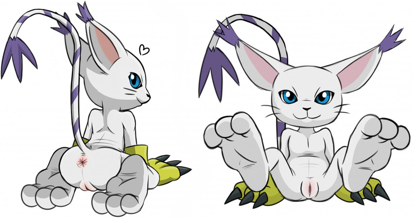 anus barefoot blue_eyes butt cat claws clothing digimon feline female fur gatomon gloves looking_at_viewer mammal presenting pussy simple_background solo spread_legs spreading sweetprofit white_background white_fur