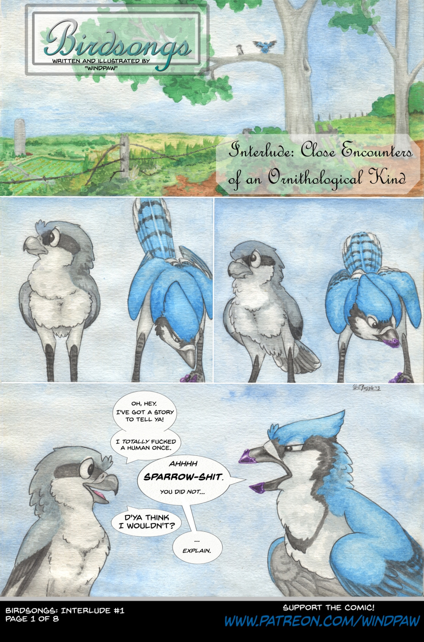 2013 avian beak bird blue_feathers blue_jay branch comic corvid dialogue duo eating english_text evan_(windpaw) feathers feral frown grey_feathers hi_res in_tree male multicolored_feathers on_branch shrike smile text timothy_(windpaw) traditional_media_(artwork) tree watercolor_(artwork) white_feathers windpaw