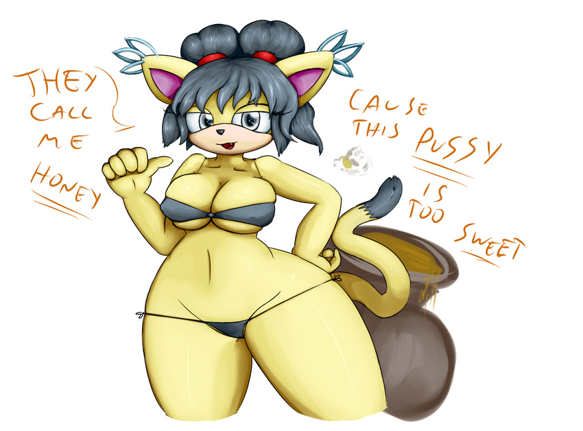 anthro breasts cactuscacti camel_toe cat clothing english_text feline female honey honey_the_cat mammal simple_background solo sonic_(series) string_bikini text thick_thighs tight_clothing white_background wide_hips