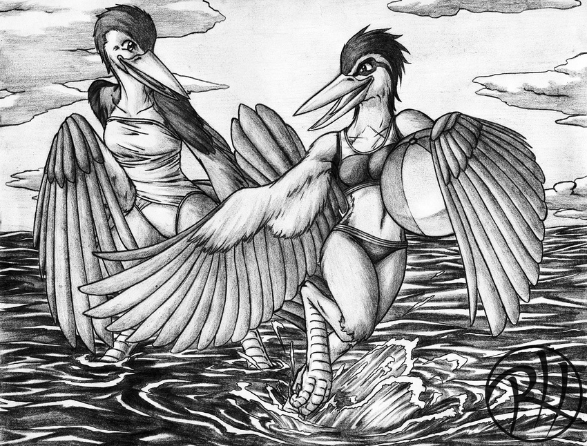 armpits avian ball beach beach_ball beak bird black_and_white clothing duo feathers female female/female monochrome predaguy seaside splash swimsuit water wings