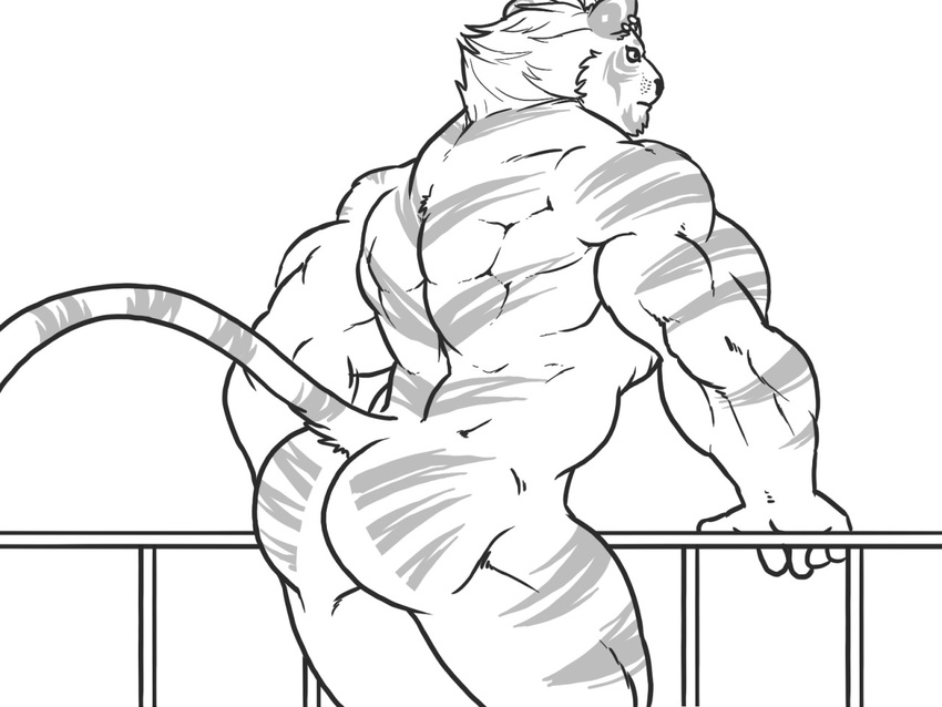 2015 anthro back_muscles biceps big_muscles butt feline fur hair looking_away male mammal monochrome muscular muscular_male nude piercing simple_background solo standing steven_ciervyena stripes tiger white_background