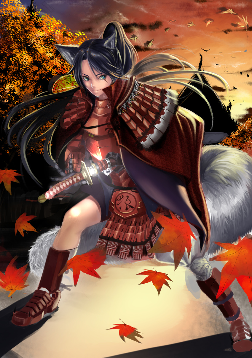 animal_ears architecture armor autumn_leaves bird black_hair blue_eyes east_asian_architecture highres japanese_armor katana kote kusazuri leaf leg_wrap looking_at_viewer maple_leaf original outdoors ponytail rei_hana_(nachis514) samurai scar scar_across_eye short_hair shoulder_armor smile sode solo suneate sword tail twilight weapon wolf_ears wolf_tail