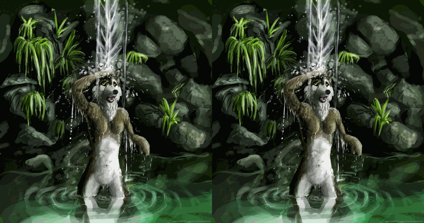 animated anthro armpits breasts canine detailed_background female mammal nature nerevar nude outside solo stereogram water waterfall wiggle_stereogram wolf