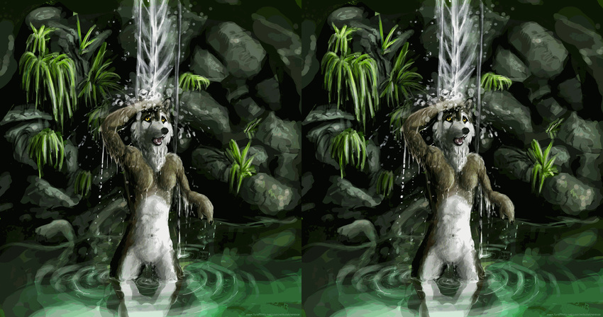 animated anthro armpits breasts canine detailed_background female mammal nature nerevar nude outside solo stereogram water waterfall wiggle_stereogram wolf