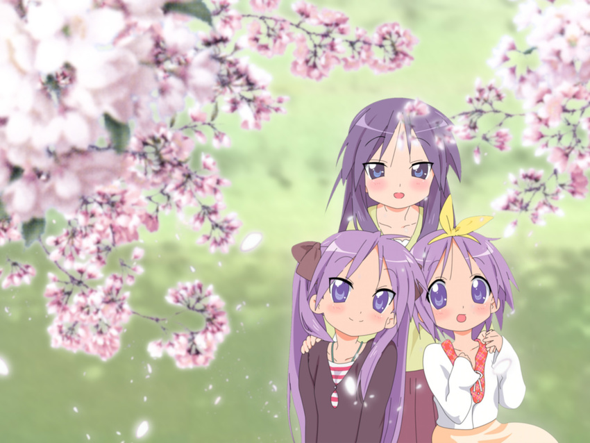 cherry_blossoms hiiragi_kagami hiiragi_miki hiiragi_tsukasa lucky_star