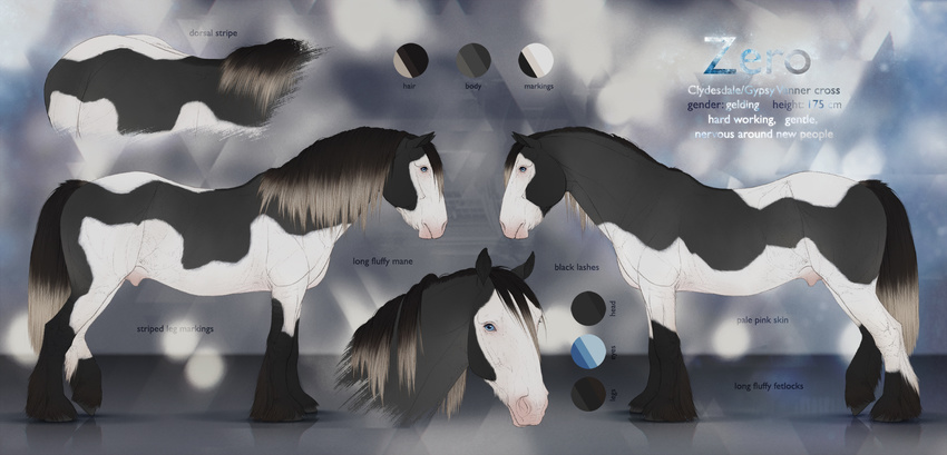 2016 abstract_background animal_genitalia black_fur blue_eyes chistokrovka clydesdale color_swatch digital_media_(artwork) draft_horse english_text equine feathering feral fully_sheathed fur gypsy_vanner hi_res hooves horse looking_at_viewer male mammal mane model_sheet multicolored_fur quadruped sheath solo text two_tone_fur white_fur