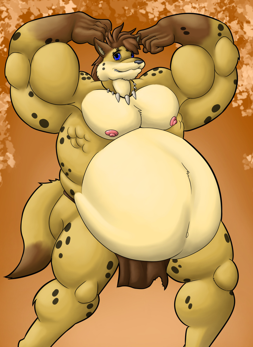 belly clothing hyena loincloth mammal musclegut muscular nipples sumo wolfgerlion64 wrestler