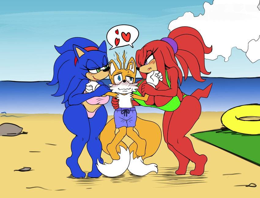 &lt;3 absurd_res big_breasts bikini blush breasts canine clothing crossgender echidna female fox group hairband hedgehog hi_res knuckles_the_echidna male mammal michiyoshi miles_prower mobian_(species) monotreme multi_tail sonic_(series) sonic_the_hedgehog soulteam swimsuit wide_hips