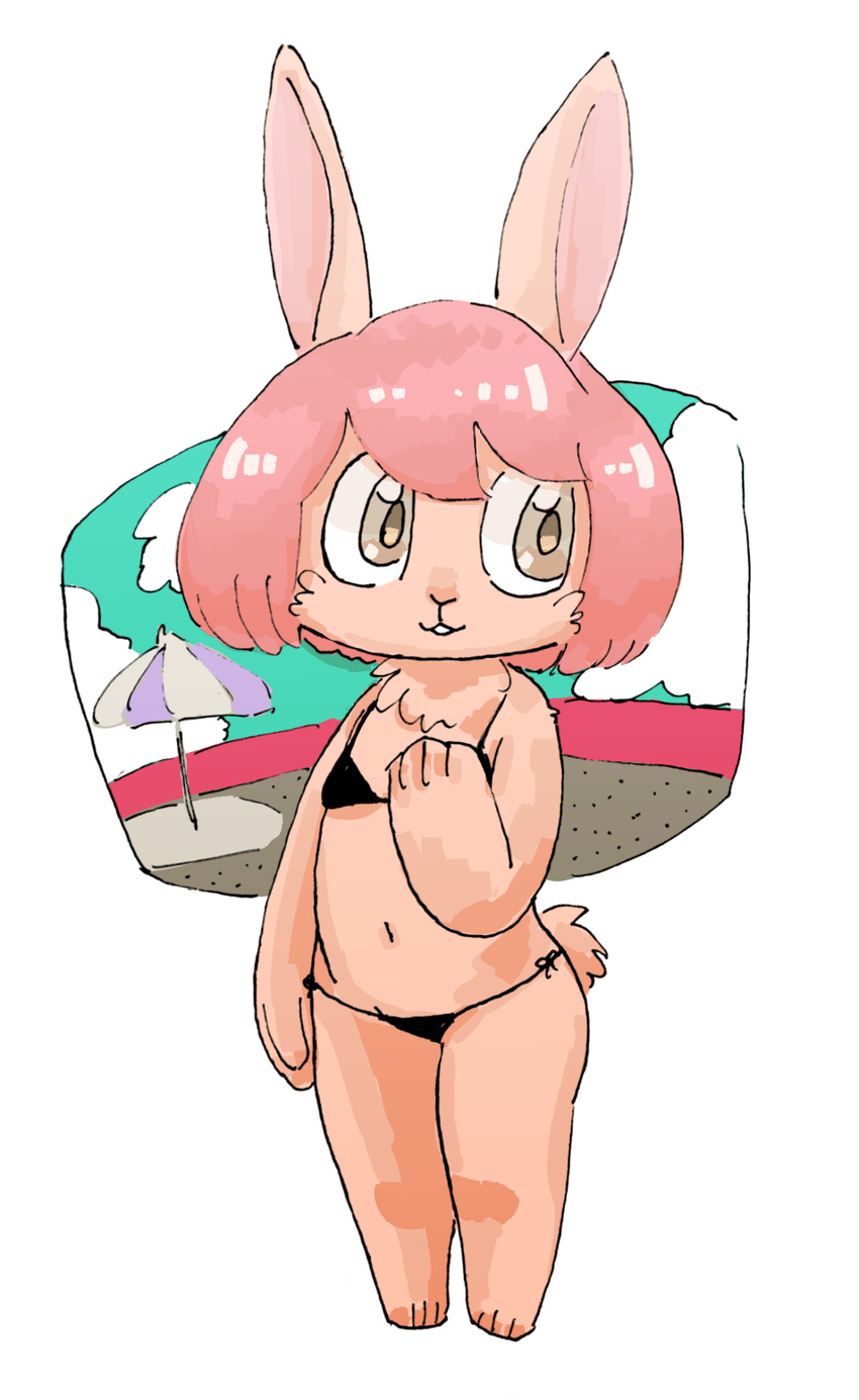 bikini brown_eyes furry pink_hair rabbit sasamino short_hair swimsuit