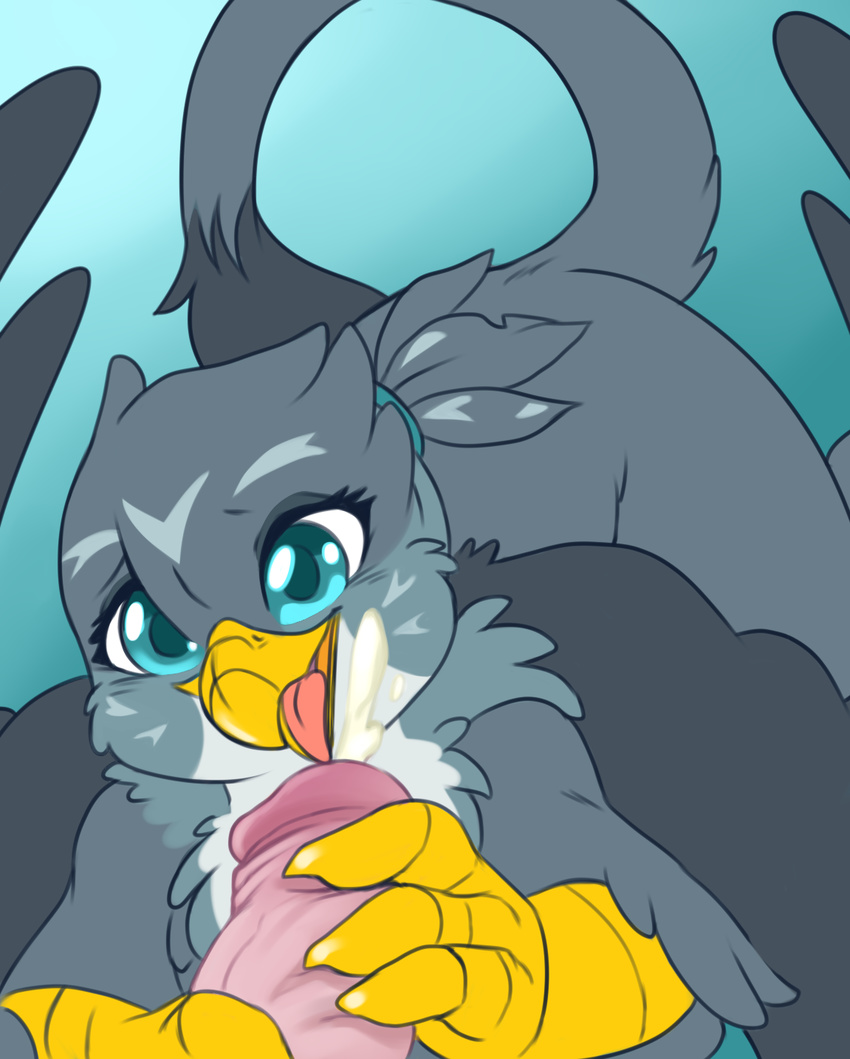 2016 aries84 avian beak blue_eyes cum faceless_male feathered_wings feathers female friendship_is_magic gabby_(mlp) gryphon human male male/female mammal my_little_pony open_mouth penis simple_background tongue tongue_out wings