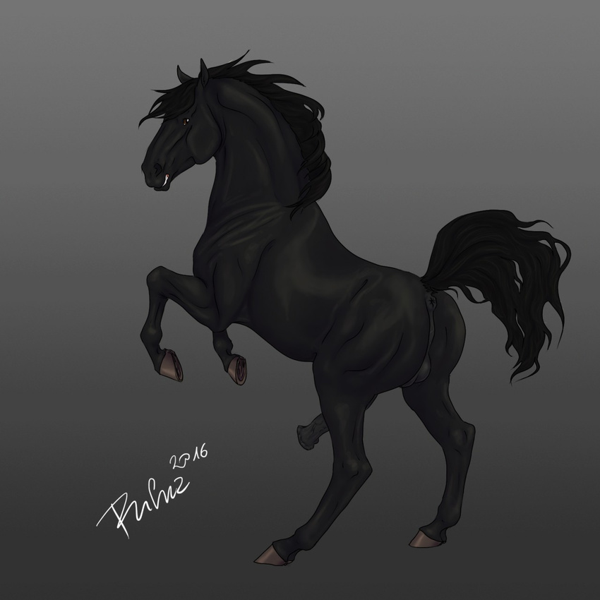 2016 anatomically_correct anatomically_correct_anus anatomically_correct_penis animal_genitalia animal_penis anus backsack balls black_fur black_penis digital_media_(artwork) equine equine_penis erection feral fur grey_background hi_res hooves horse looking_at_viewer male mammal mane on_hind_legs penis perineum puffy_anus quadruped raised_tail rufciu signature simple_background solo underhoof vein veiny_penis