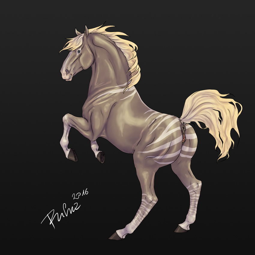 2016 anatomically_correct anatomically_correct_anus anatomically_correct_pussy animal_genitalia animal_pussy anus black_background blue_eyes digital_media_(artwork) equine equine_pussy female feral fur hi_res hooves horse hybrid mammal mane multicolored_fur on_hind_legs puffy_anus pussy raised_tail rufciu signature simple_background solo striped_fur stripes tan_fur two_tone_fur underhoof white_fur white_stripes zebra zorse