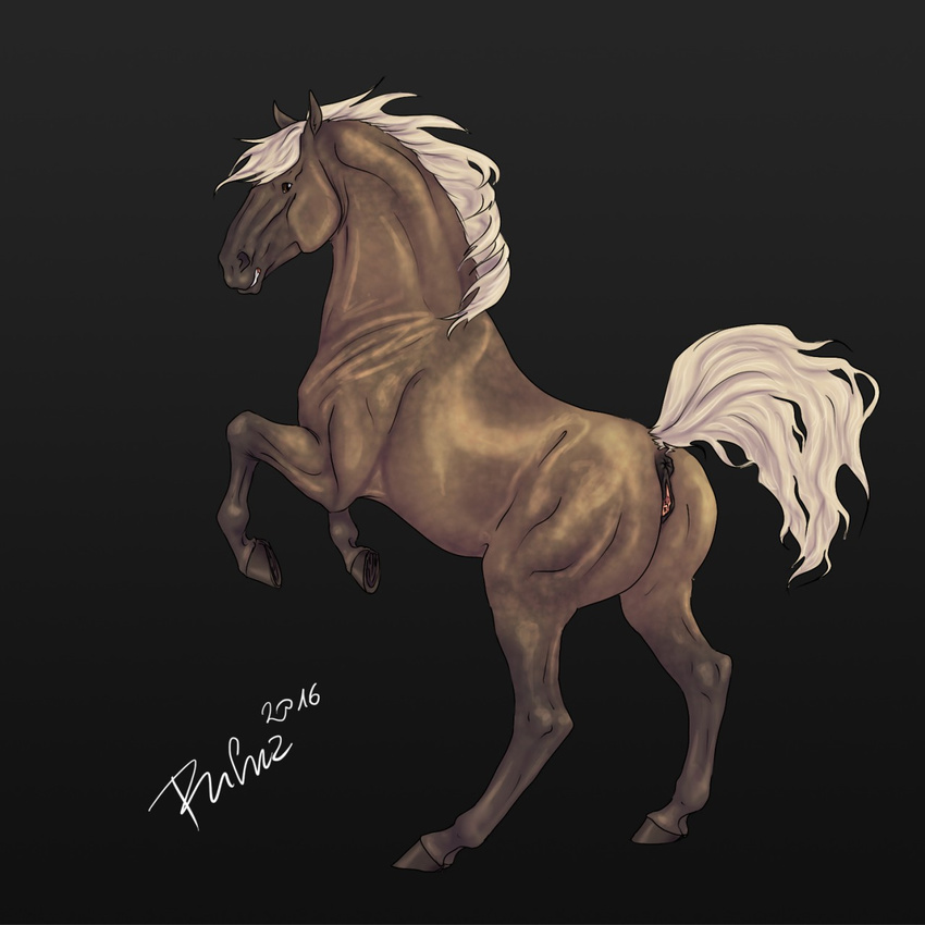 2016 anatomically_correct anatomically_correct_anus anatomically_correct_pussy animal_genitalia animal_pussy anus black_background brown_eyes brown_fur digital_media_(artwork) equine equine_pussy female feral fur hi_res hooves horse mammal mane on_hind_legs puffy_anus pussy raised_tail rufciu signature simple_background solo underhoof