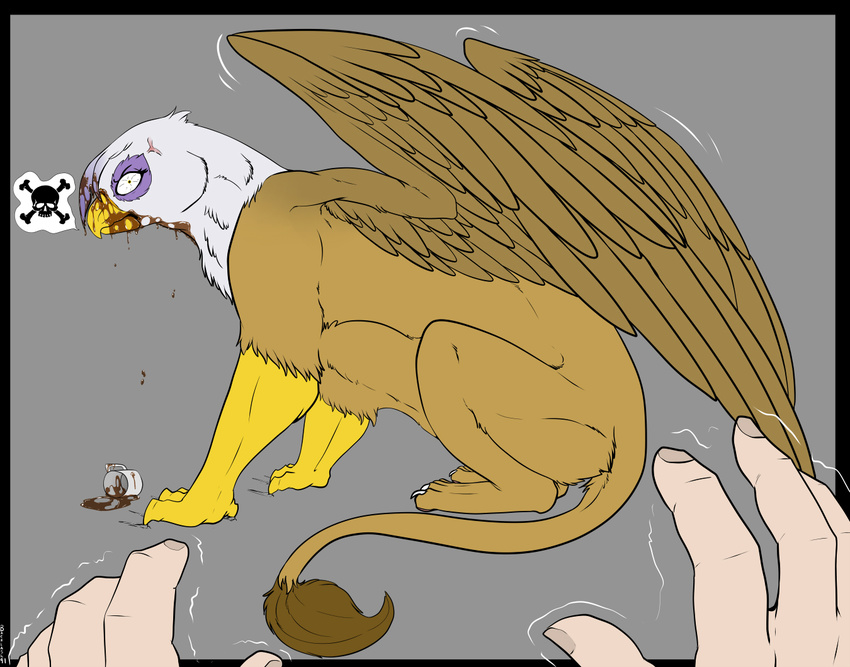 angry avian backlash91 bird cat conditional_dnp crossbones feline friendship_is_magic gilda_(mlp) gryphon human invalid_tag lion mammal my_little_pony skull spilled_coffee