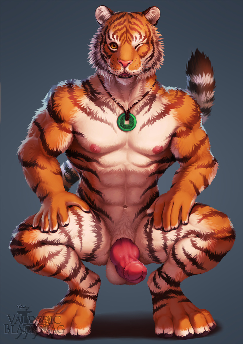 2016 abs anthro balls barbed_penis black_fur crouching erection feline fur glans glossy_glans hybrid_penis jewelry knot male mammal navel necklace nipples nude orange_fur penis pink_nipples pink_nose pink_penis simple_background solo stripes tiger valderic_blackstag white_fur yellow_eyes