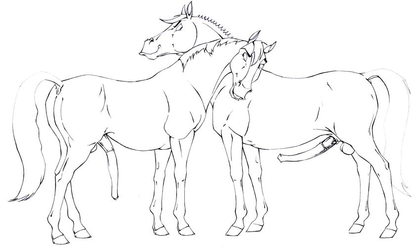 anus balls equine erection feral horse klaus_doberman male male/male mammal penis sketch