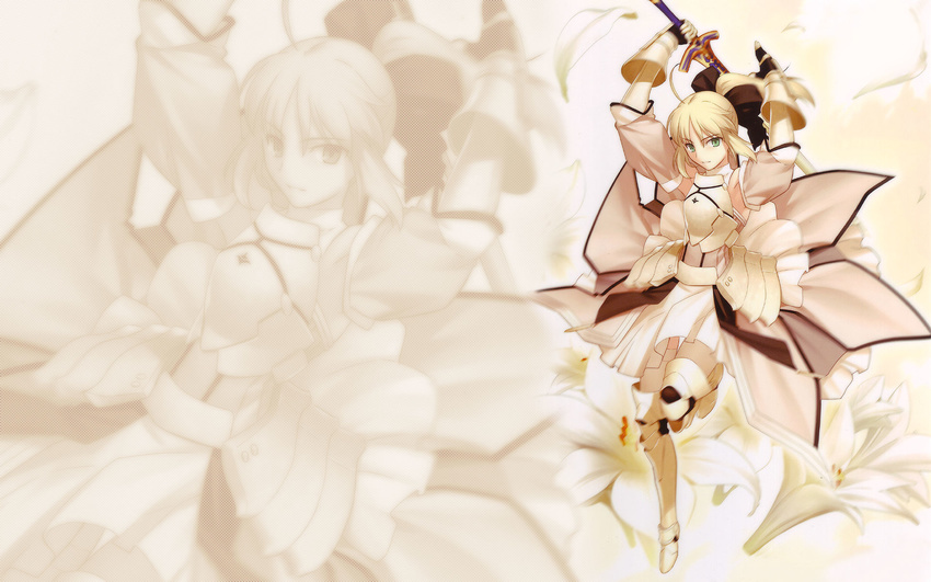 fate/stay_night fate/unlimited_codes saber saber_lily tagme