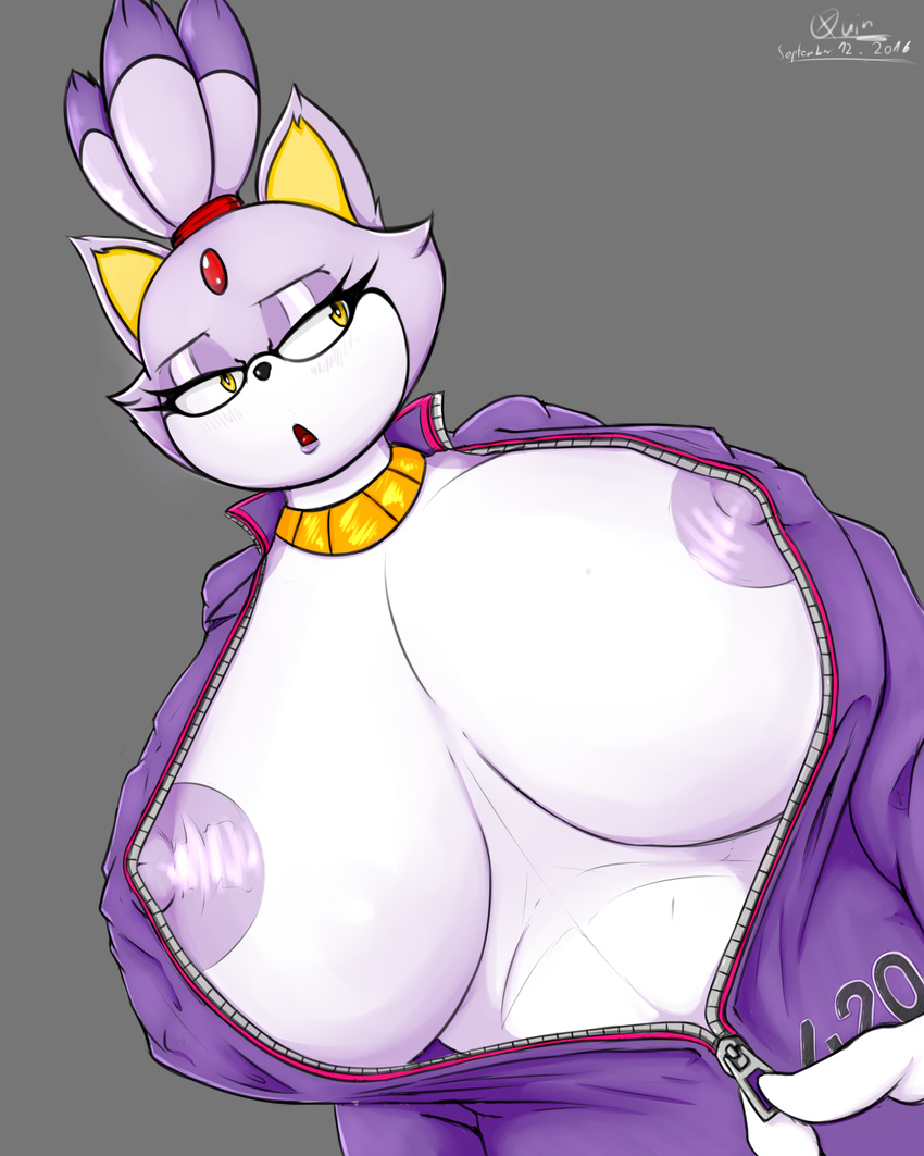 anthro areola big_breasts blaze_the_cat breasts clothing eyelashes feline female mammal nipples open_mouth quin-nsfw solo sonic_(series) yellow_eyes zipper