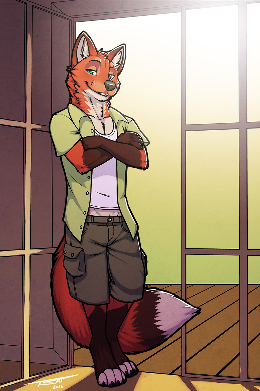 canine clothed clothing fox green_eyes male mammal outside patio pinup pose sky solo tsaiwolf window