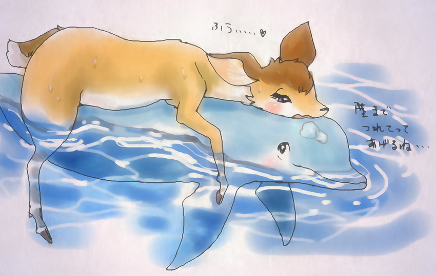 &lt;3 blush cervine cetacean deer dolphin female feral fur hooves lying mammal marine melonleaf on_top open_mouth partially_submerged riding simple_background sweat text water wet