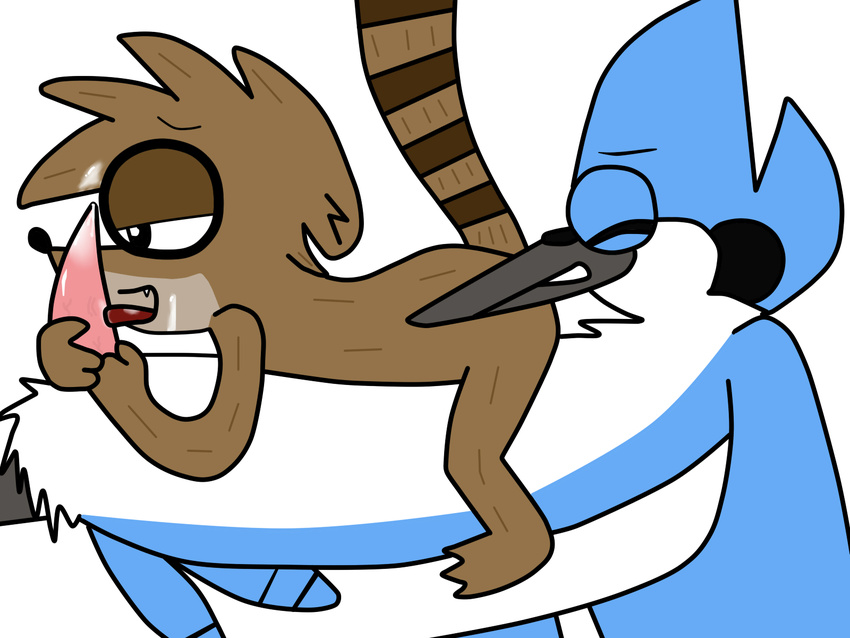 cartoon_network dripping male male/male mordecai penis regular_show rigby sex