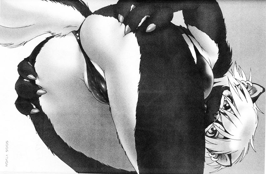 armpits black_and_white butt camel_toe clothing female mammal monochrome panties po-ju raised_tail skunk solo underwear