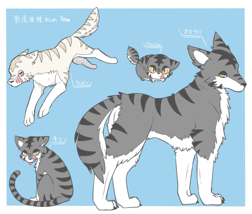 2016 albino alternate_color alternate_form ambiguous_gender border catified chibi domestic_cat facial_scar felid feline felis feral full-length_portrait fur ginga_(series) grey_body grey_fur grey_stripes hi_res japanese_text kagetora_(ginga) kemono male_(lore) mammal model_sheet portrait scar solo striped_body striped_fur stripes temitess text translation_request white_body white_border white_fur yellow_eyes