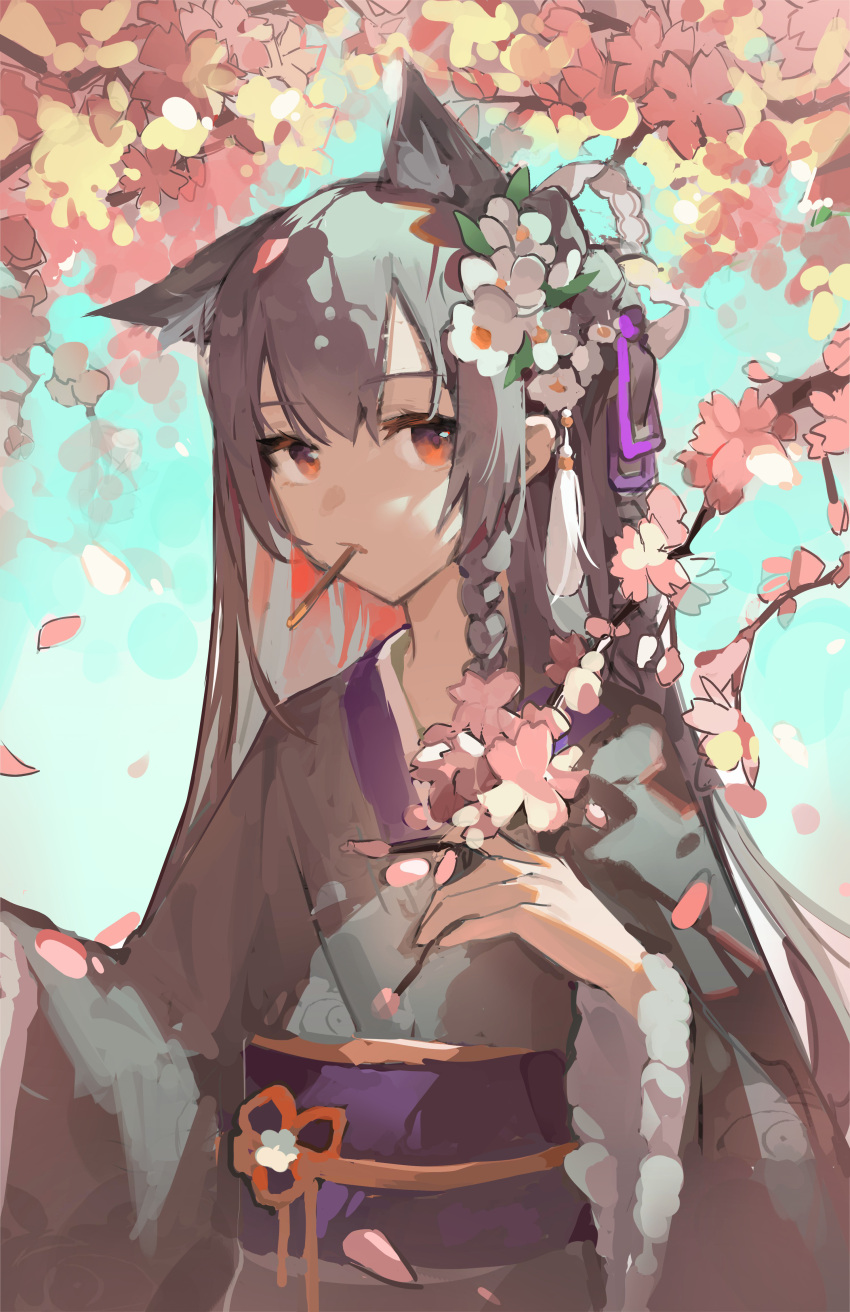 1girl absurdres alternate_costume animal_ears arknights black_hair black_kimono blue_sky braid cherry_blossoms extra_ears flower food hair_flower hair_ornament hand_up highres japanese_clothes kimono long_hair looking_at_viewer mouth_hold orange_eyes outdoors pocky purple_sash rui_(woyoudabing_rui) sash sidelocks sky solo texas_(arknights) upper_body white_flower wide_sleeves wolf_ears wolf_girl