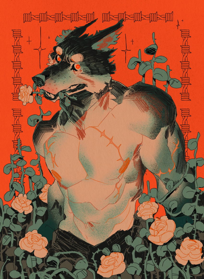 1boy abs animal_ears animal_nose arms_at_sides barbed_wire biceps big_squid_man black_pants collarbone cross deltoids flower flower_on_mouth furry furry_male hatching_(texture) highres lats limited_palette male_focus muscular muscular_male navel nipples orange_background original pants plant red_eyes scar scar_on_arm scar_on_chest snout teeth topless_male trapezius