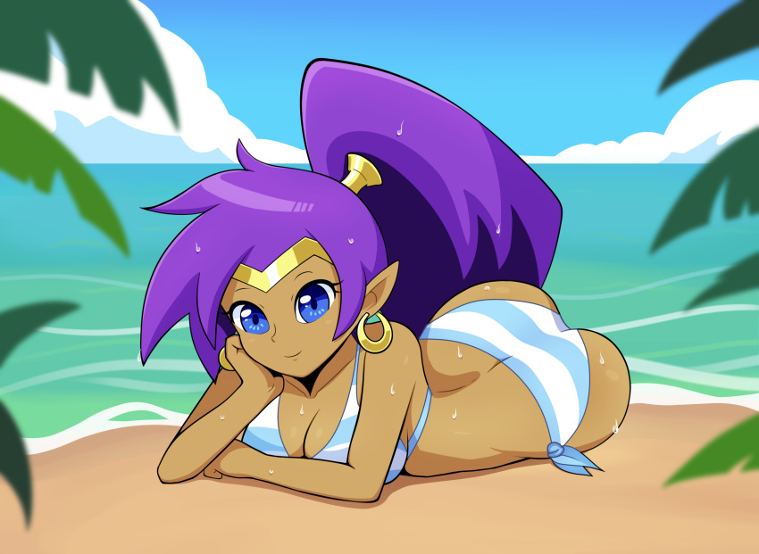 beach bikini blue_eyes breasts brown_body brown_skin cleavage clothed clothing cloud day ear_piercing ear_ring fallenlimbo female genie hair hi_res humanoid humanoid_pointy_ears long_hair looking_at_viewer not_furry piercing ponytail purple_hair ring_piercing seaside shantae shantae_(series) smile solo swimwear water wayforward wet