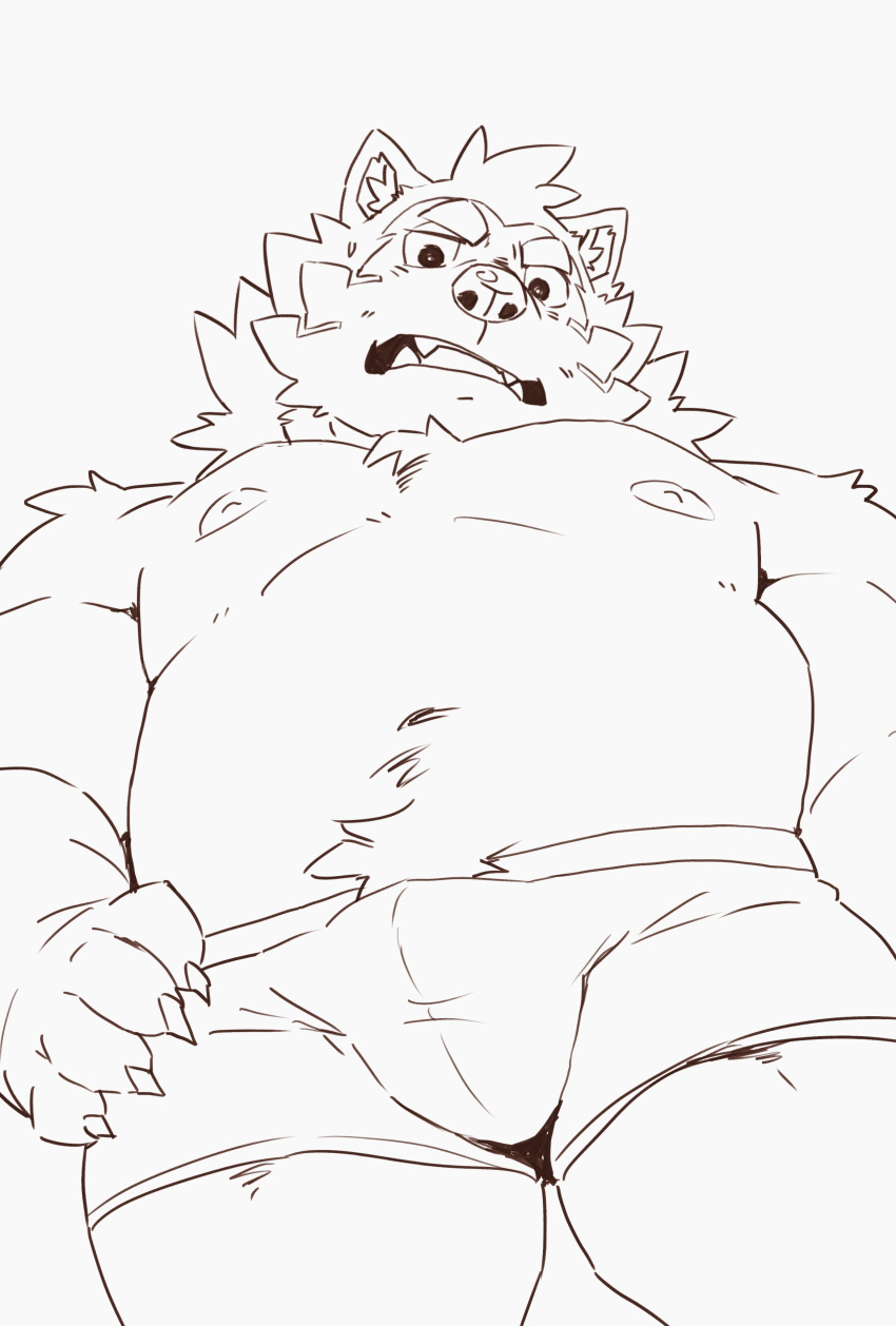 absurd_res angry anthro belly briefs bulge canid canine canis clothing domestic_dog heylaw21 hi_res lifewonders live_a_hero low-angle_view male mammal mokdai musclegut navel nipples pecs solo underwear
