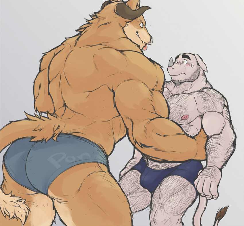 2016 against_wall anthro arm_hair back_muscles biceps big_muscles black_nose blush body_hair bovine boxers_(clothing) brown_fur brown_horn brown_tail bruce_(ponpokora) bulge canine cattle chest_hair clothed clothing digital_media_(artwork) duo ears_down eye_contact facial_piercing fur gio grey_horn grey_skin grey_tail hairy horn hybrid leg_hair male mammal muscular muscular_male nervous nipples nose_piercing nose_ring pecs piercing pink_nipples pink_tongue pinned ponpokora rape_face rhinoceros septum_piercing simple_background standing sweat sweatdrop tail_tuft tongue tongue_out topless tuft underwear wolf yellow_eyes