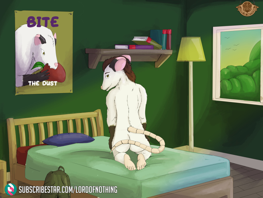 american_opossum backpack bed bedroom book bookshelf feet furniture looking_at_viewer looking_over_shoulders lordofnothin1 male mammal marsupial nude pillow plantigrade poster virginia_opossum window window_light