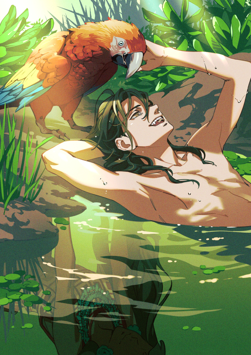 1boy akakokko_(niro_azarashi) bare_pectorals bathing bird bishounen black_hair character_request different_reflection highres long_hair macaw male_focus maronie_oukoku_no_shichinin_no_kishi nude outdoors parrot pectorals reflection ringed_eyes scarlet_macaw solo teeth water_drop wet