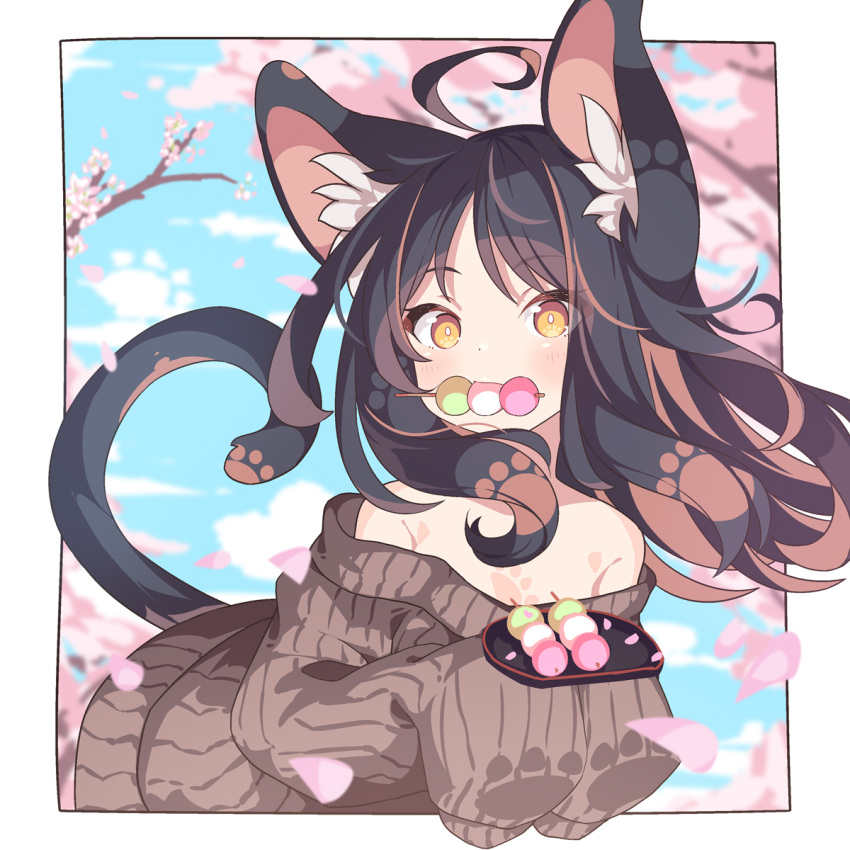 1girl ahoge animal_ear_fluff animal_ears bare_shoulders black_hair blue_sky blurry blurry_background branch brown_eyes brown_hair brown_sweater cat_ears cat_girl cat_tail cloud commentary_request daidai_ookami dango day depth_of_field flower food food_in_mouth highres long_hair long_sleeves looking_at_viewer mouth_hold multicolored_hair off-shoulder_sweater off_shoulder original pink_flower ribbed_sweater sanshoku_dango sky sleeves_past_fingers sleeves_past_wrists solo streaked_hair sweater tail wagashi