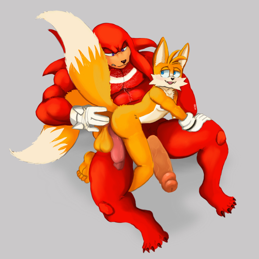 aciidtron anal anal_fingering anal_penetration anthro anus balls canid canine clothing duo echidna fingering fox genitals gloves handwear hi_res knuckles_the_echidna male male/male male_penetrated male_penetrating male_penetrating_male mammal miles_prower monotreme muscular nipples penetration sega sex simple_background sonic_the_hedgehog_(series)