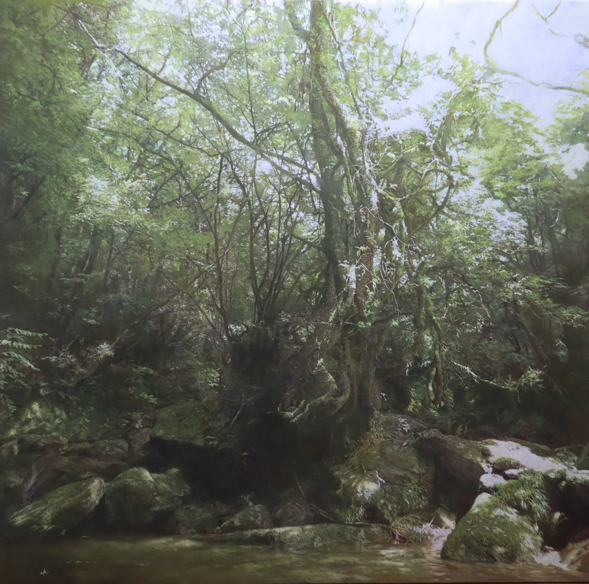 absurdres bush dappled_sunlight forest grass highres jungle moss naohiro_ito nature no_humans oil_painting_(medium) original painting_(medium) photorealistic plant puddle realistic rock roots sapling scenery shadow sunlight traditional_media tree tree_stump