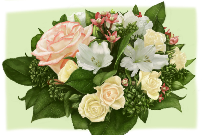 border bud commentary_request flower flower_focus green_background leaf mawaritaira no_humans original pink_flower pink_rose plant plant_focus rose stamen still_life white_border white_flower